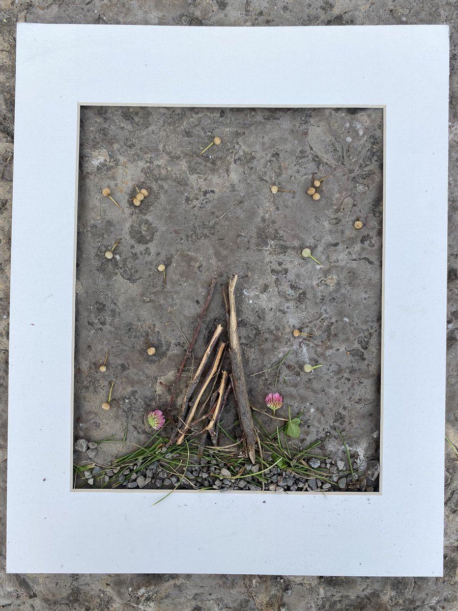 B_DelleMonache's tweet photo. We are enjoying some great outdoor learning. We made a shelter and some symmetrical pictures with nature. @DSBNSummerHEAT @SummerHeatHT @htubman2015 https://t.co/TxXYPfWW36