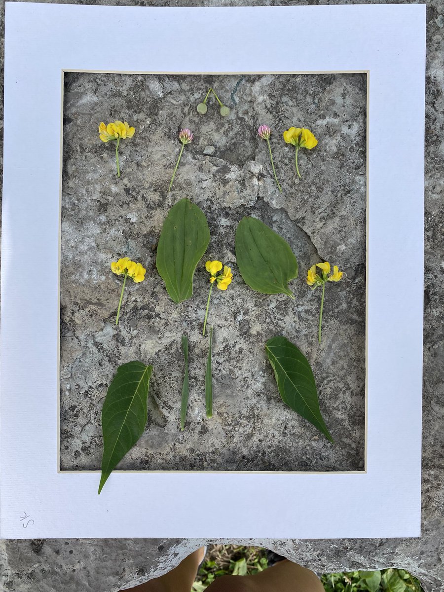 B_DelleMonache's tweet photo. We are enjoying some great outdoor learning. We made a shelter and some symmetrical pictures with nature. @DSBNSummerHEAT @SummerHeatHT @htubman2015 https://t.co/TxXYPfWW36
