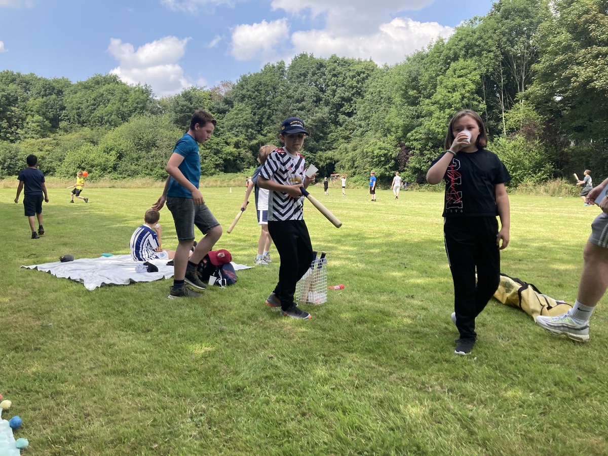 Timbertree Year 6 tweet media