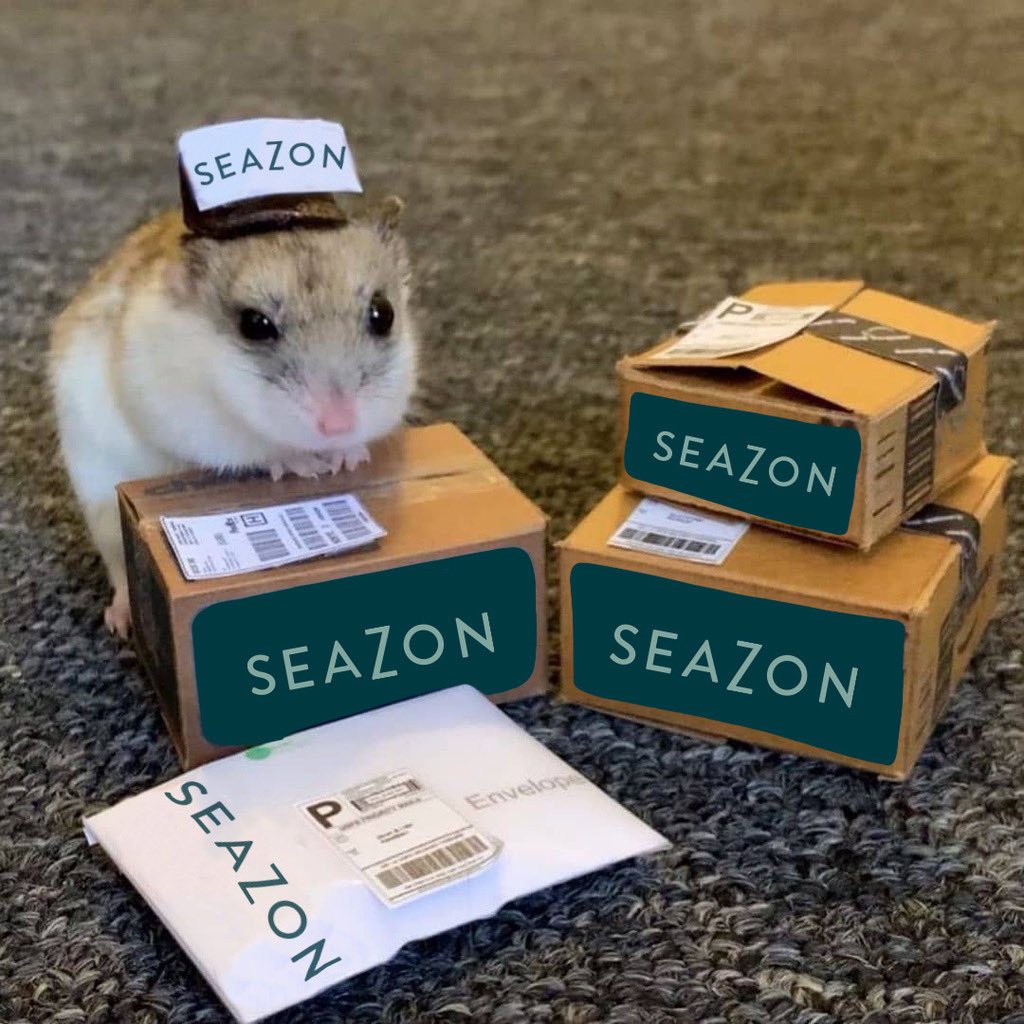 Un nouveau membre entre dans l’équipe Seazon !