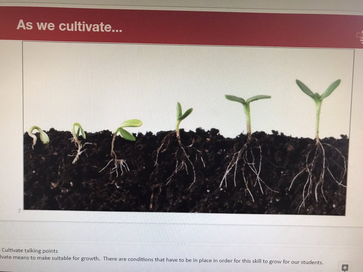 mathreflective's tweet photo. Learning how to cultivate a discourse-rich math classroom with @CHansenCA and @YimiyaP . #threereads Teaching is like gardening. What are we doing to cultivate student growth in a student centered classroom? #openupmath #OURHIVE https://t.co/pn85T71B5d