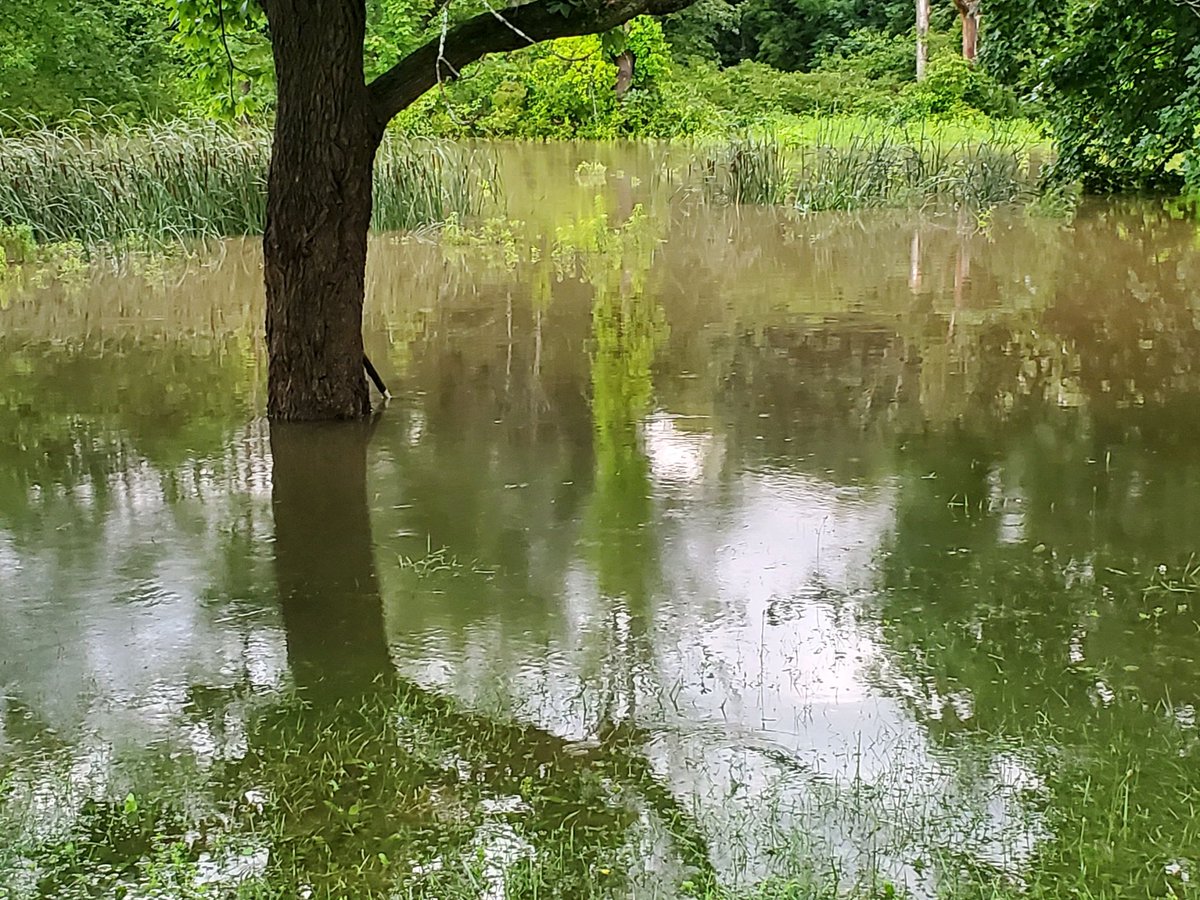 Gwen Wright tweet media