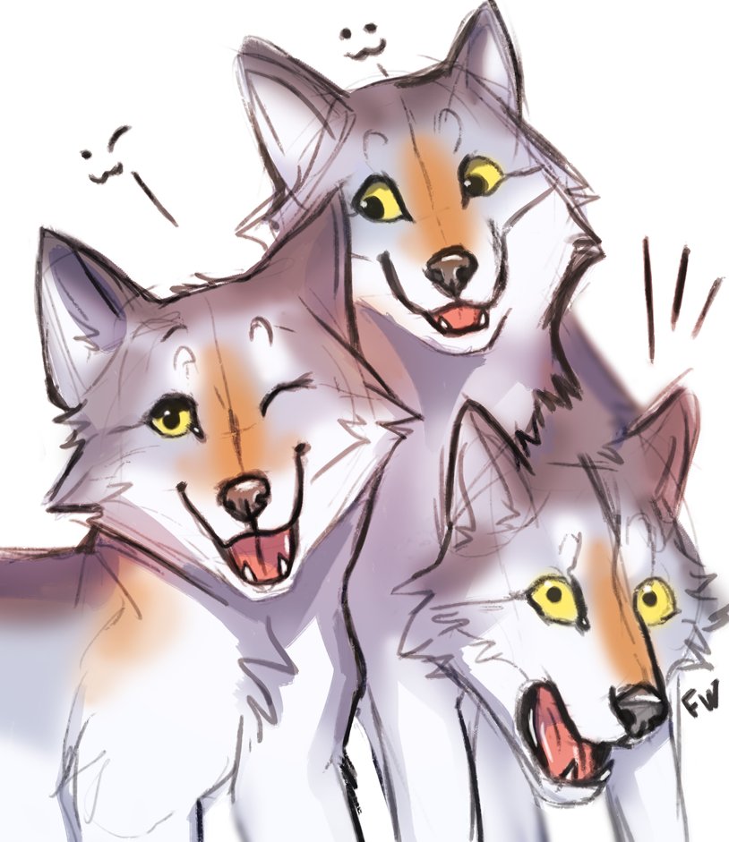 Sleepy Wolf Family Lineart By Firewolf On  Anime Wolf Family Drawings   1024x379 PNG Download  PNGkit
