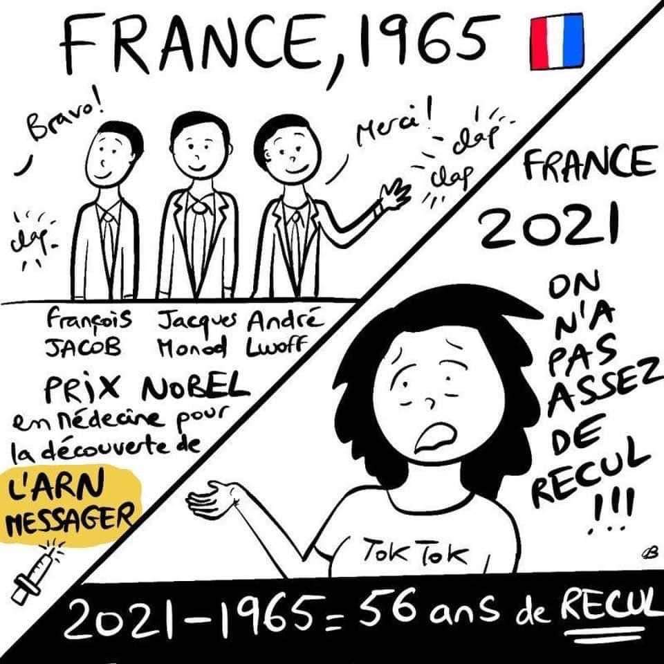 Xavier Gidrol Gidrolxavier Twitter Xavier Gidrol Gidrolxavier Twitter