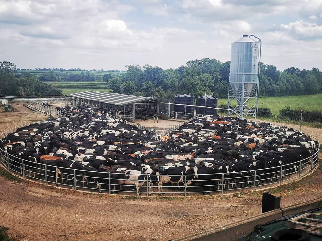 🐄🐄We're hiring!🐄🐄

We are looking for a great team person to join us on our journey in the dairy industry! 

Please see job advert in the photos

Please RT, thanks. 👍🏼