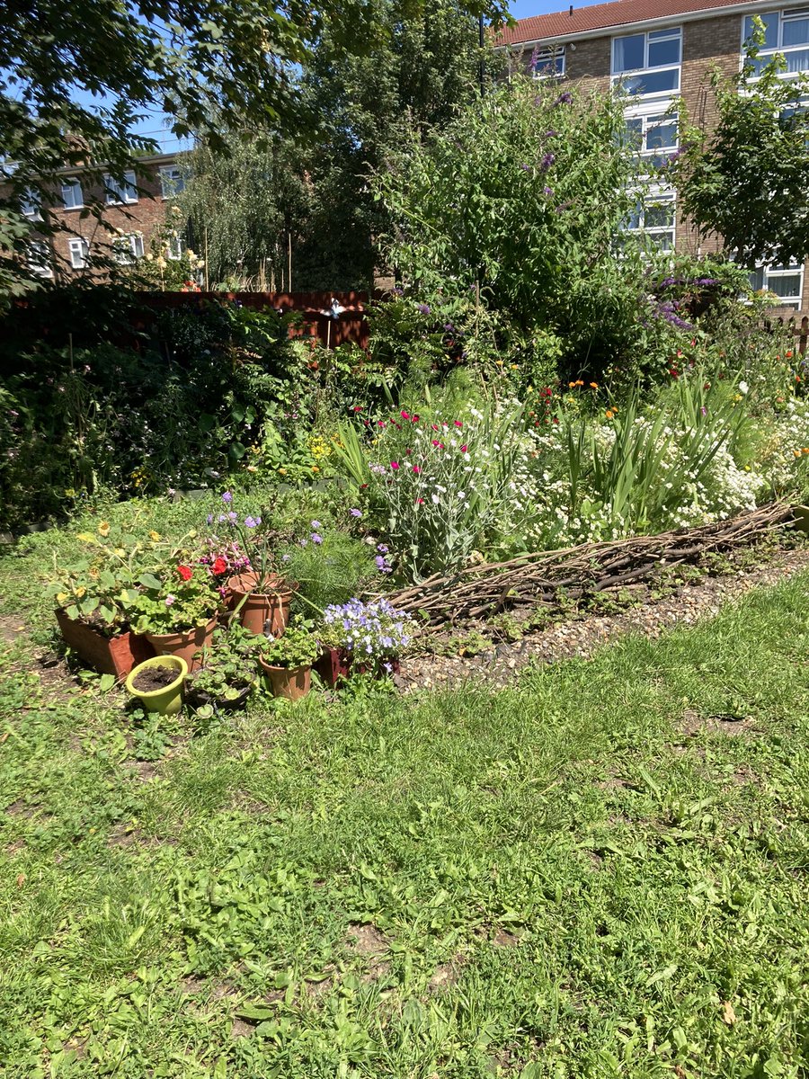 TheaPetrou's tweet image. Wow - the Moselle Meadow is the most beautiful spot on Lordship Lane! @NPBigLocal the seed heads in the last photo are unusual … does anyone know what plant they belong to?