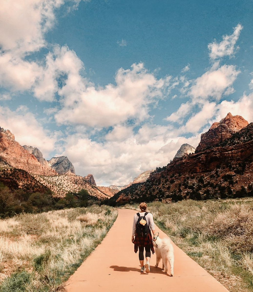 Okay we admit it, we are SO jealous of the perfect furry adventure companion.