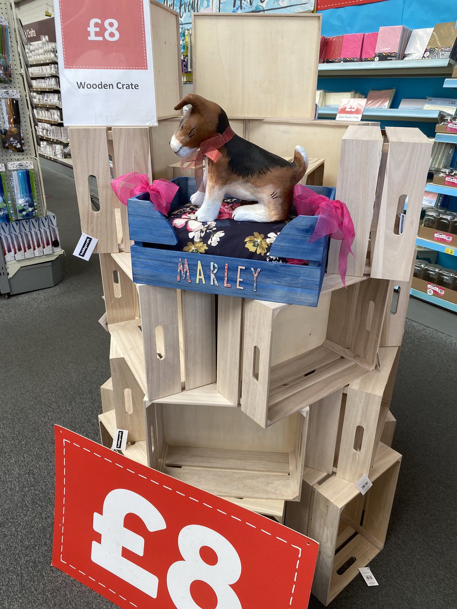 area3mo's tweet photo. @Hobbycraft_SOU 🌞 sunshine inside and outside today #Southampton team makes looking great https://t.co/H7SFLN3aqF