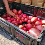 Image for the Tweet beginning: No one should go hungry.
No