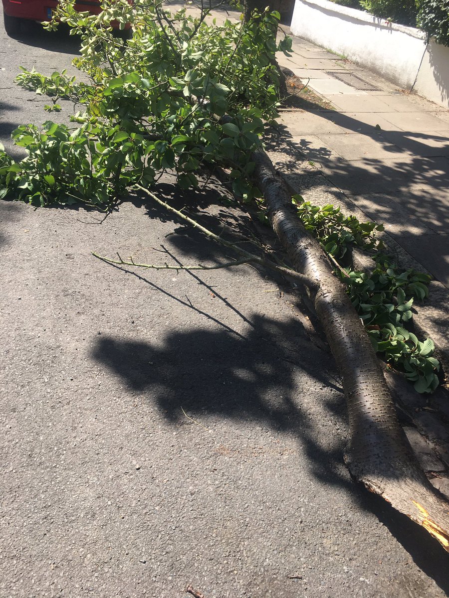 babyeblog's tweet photo. @EalingCustSer tree branch has broken off dangerously in Drayton Grove W130LA - have reported on Love Clean Streets, please remove ASAP today as it’s dangerous being in the road. Many thanks https://t.co/4rHgphEtuH