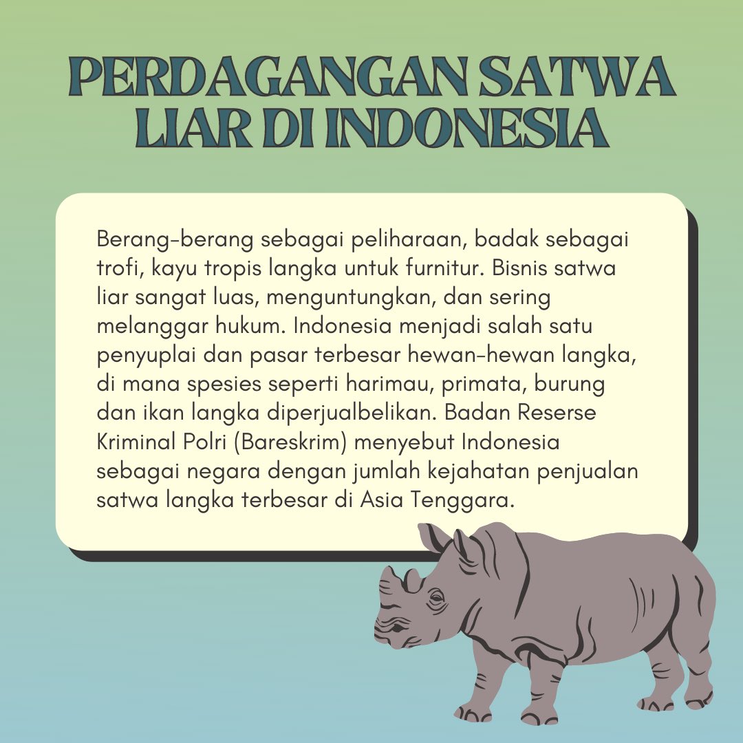 Elpala_68's tweet photo. Salam Rimba!!👋

Kamu udah tau belum, di Indonesia ada satwa yang terancam punah?🧐

Simak infografis berikut yukk biar nambah pengetahuan kamuu☺️

#vivaELPALA https://t.co/OHKAWi8VxV