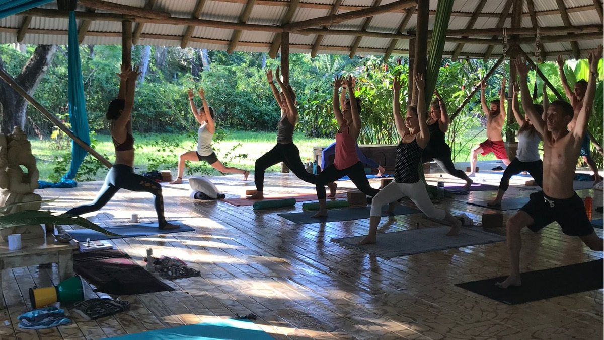 Book_Yoga_Train's tweet photo. With a doubt, #HathaYoga is the most popular style of yoga among Western practitioners. 
If you want to enhance your  practice of this style or plan to start teaching, we have a wide selection of teacher training courses to help you follow your path:
https://t.co/oGId1AgCvW https://t.co/e1Y34tkYUH