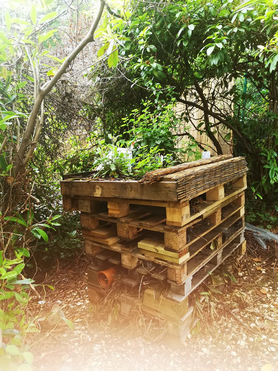 A wonderful afternoon spent celebrating the long awaited opening of our very own forest school!Thanks to everyone! #reachacademy #reachintheforest