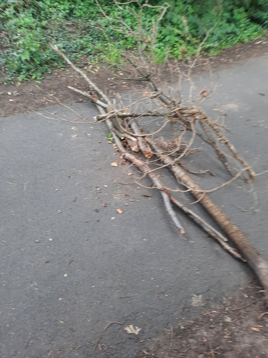Whoever did this on Taff trail next to Llandaff weir I hope you are proud of yourselves. Please get a life. Now moved.