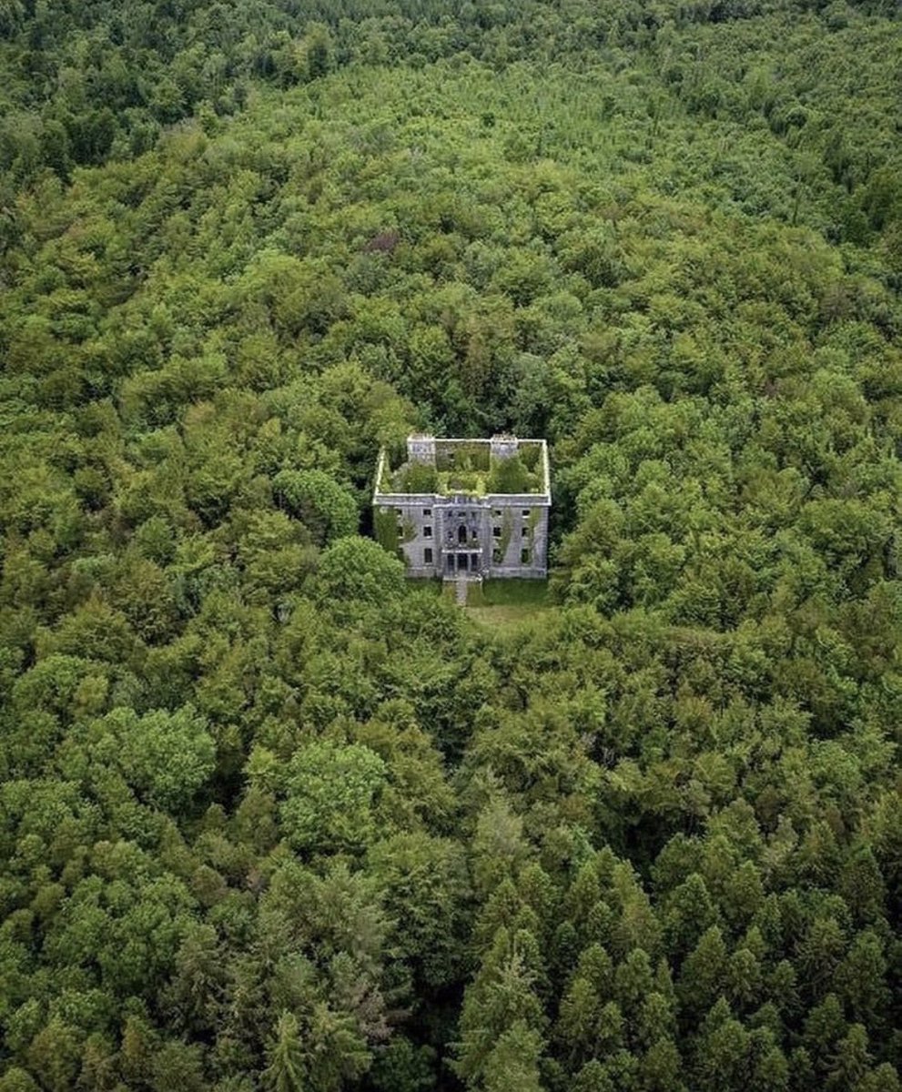 Everyday that I don’t live in an abandoned mansion swallowed by the woods is a day lost