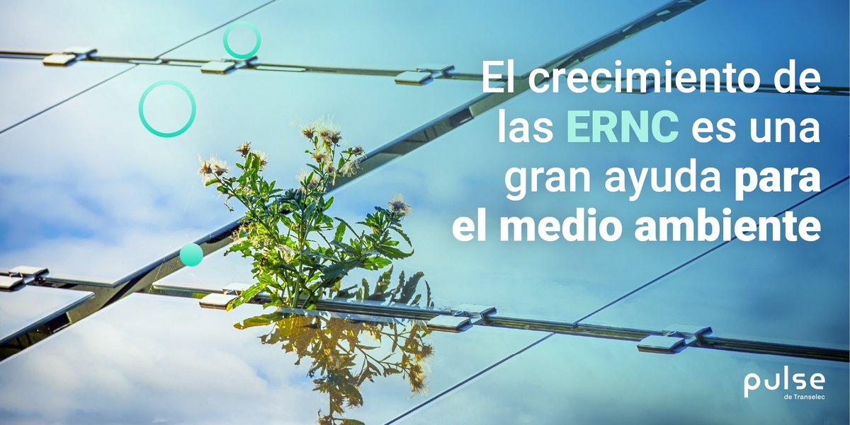 Pulse Energia tweet media