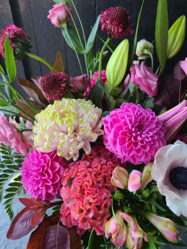 Dahlias are in season now, and we just love these showy Summer beauties! Read more below about what’s in season in the hottest days of Summer:

ecostems.ca/blog/brightand…