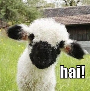 vanafi! (@hopefulwitch) on Twitter photo 