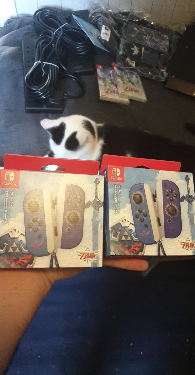 Hyrule Gamer tweet media