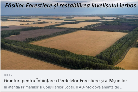 ArboretumLive's tweet photo. Spre atenția Primarilor, Consilierilor și Activiștilor Locali. 
Aplicanți - Primăriile. 
Finanțare pînă la $30 000 pentru 10 Ha de perdele forestiere. 
Deadline 6 August!  
Detalii https://t.co/36Y9GeO7Dc https://t.co/jXUgj54Ogi