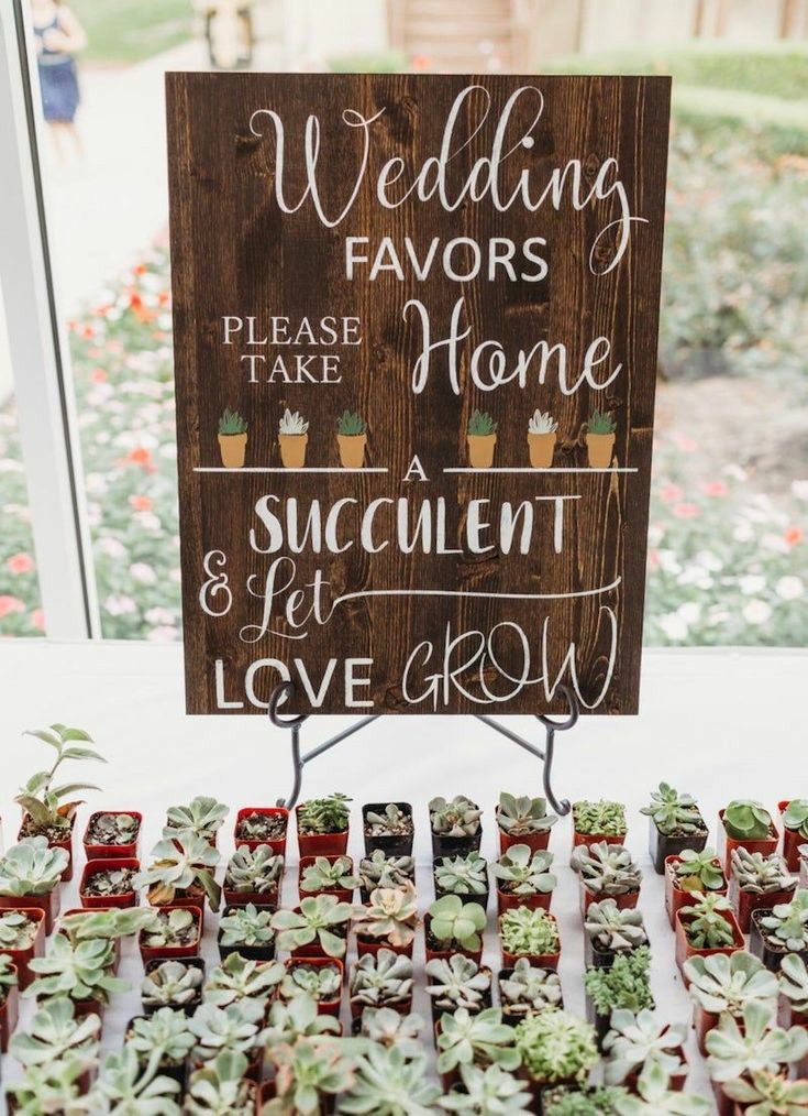 b_eventful's tweet photo. I love this party favor decor idea....

https://t.co/Z8OnBaepny 
 
#celebrate #specialmoments  #makememories

 [WEDDINGS • SOCIAL EVENTS • CORPORATE] https://t.co/JoPciHFAap