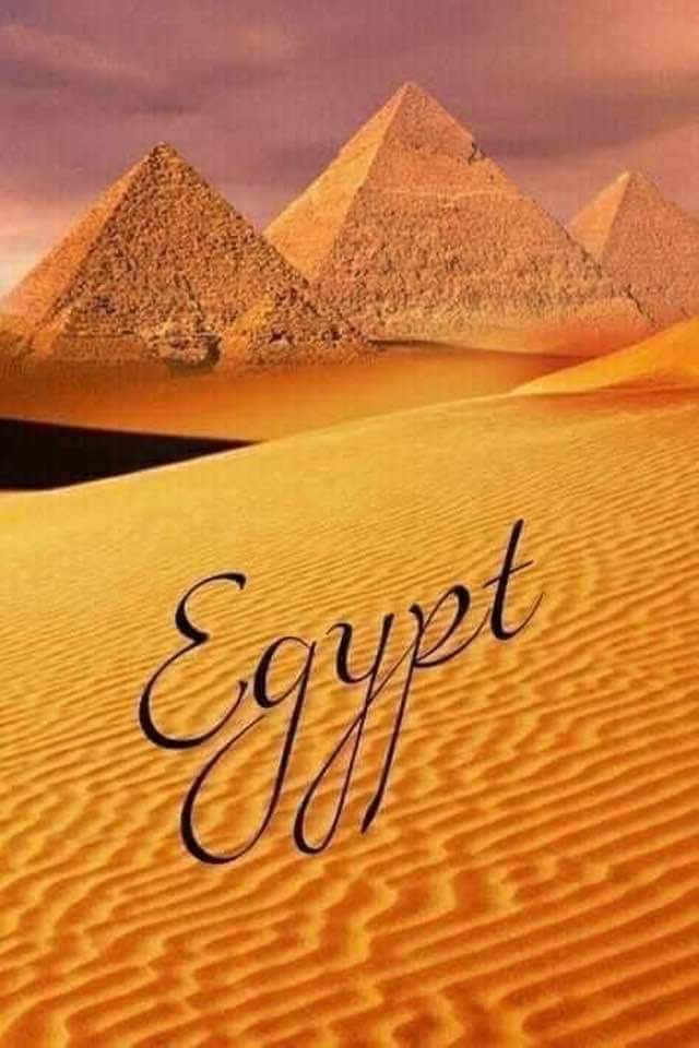 #الجمهورية_الجديدة