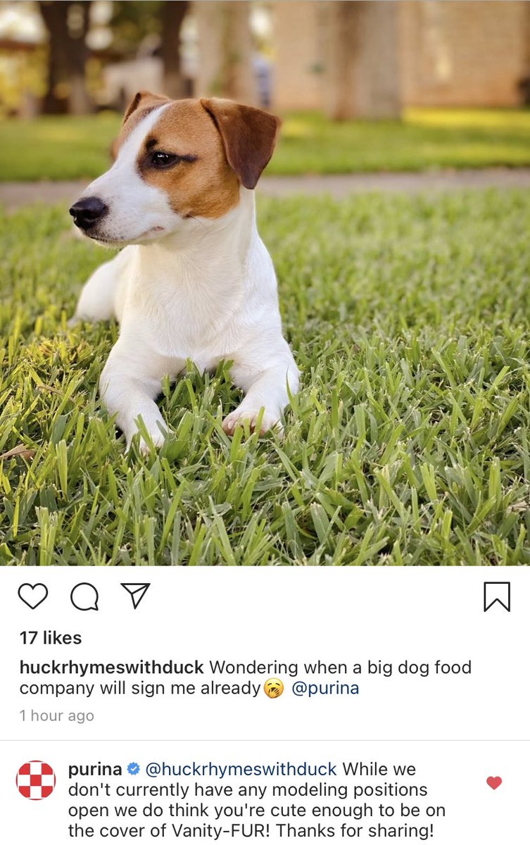Did Purina just friend zone my dog?