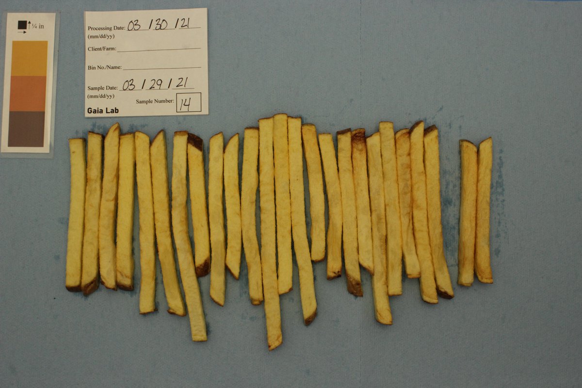 GaiaResearchMB's tweet photo. Starting to make arrangements with Manitoba potato growers for pre-harvest and in-storage glucose, sucrose and fry color testing for the 2021/2022 season. The next few weeks is the time to contact us to make sure you are in our schedule for #Techmark certified lab testing https://t.co/fyy4okW0k3
