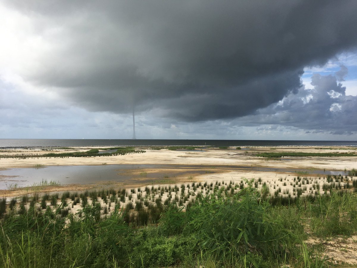 BamaConservator's tweet photo. Lightning Point lived up to its name today. ⁦@NatureAlabama⁩ https://t.co/7Pw9ztzP67