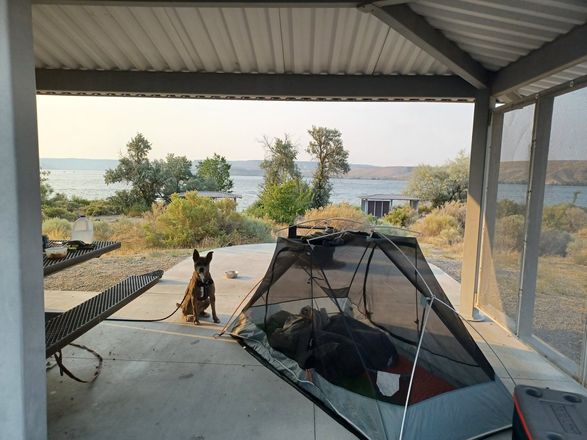 ae_glazier's tweet photo. Driving through 100 degrees in Idaho meant finding a campground on a lake that we could just sit in for a few hours. That was Wednesday night and now we're in 60 degrees and cloudy in Seattle. Way better. Very excited to avoid 100 degs in #valdezalaska at @pwsc_alaska ! https://t.co/qg4PsploPw