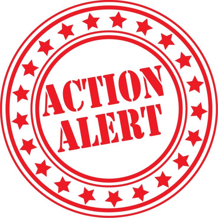 NewYorkAlliance's tweet image. Senator Schumer needs to hear from you. Tell him HCBS is key to ensuring ppl with disabilities are included in the community. #COVID19 exacerbated a crisis in recruiting/retaining direct care workers. Ensure all $400B proposed by Biden stay in the reconciliation package.