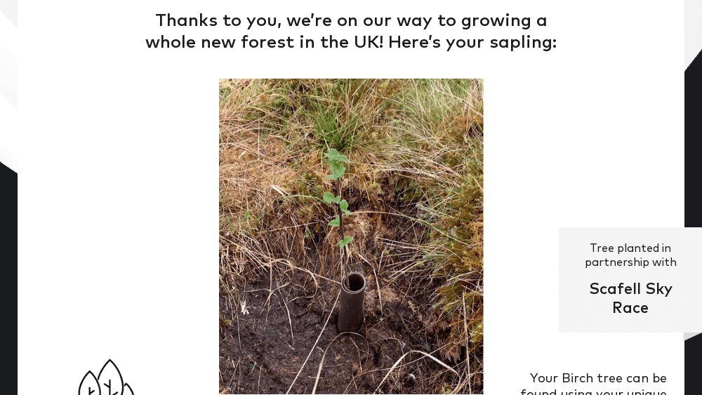 This made me quite emotional! My first tree planting certificate! Thank you so much <a href="/ScafellSkyRace/">Scafell Sky Race</a> for giving runners the chance to #chooseatree and to <a href="/treesnottees/">Trees not Tees 🌳</a> for growing a new forest!!! 🌲💚