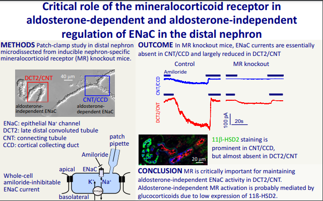 AJP Renal tweet media