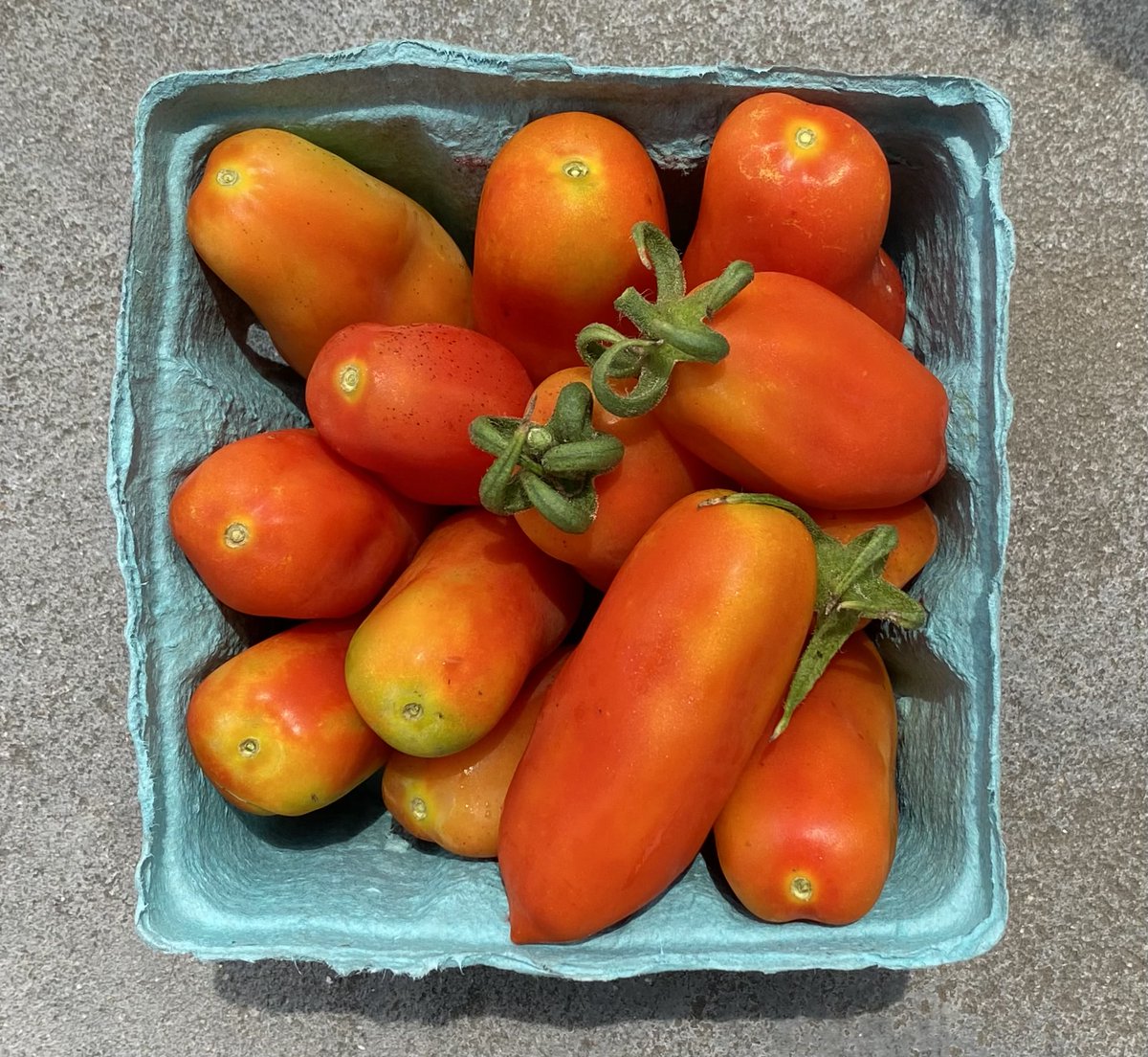 The Pay What You Can Farm Stand at Greensgrow West continues on Sunday July 18! We take donations, EBT, cash, card, WIC and FMNP checks! There will be Sunflower Bouquets, Nectarines, and Red Cabbage. Also, Greensgrow Grown Tomatoes, Carrots, Basil, and Dino Kale.
