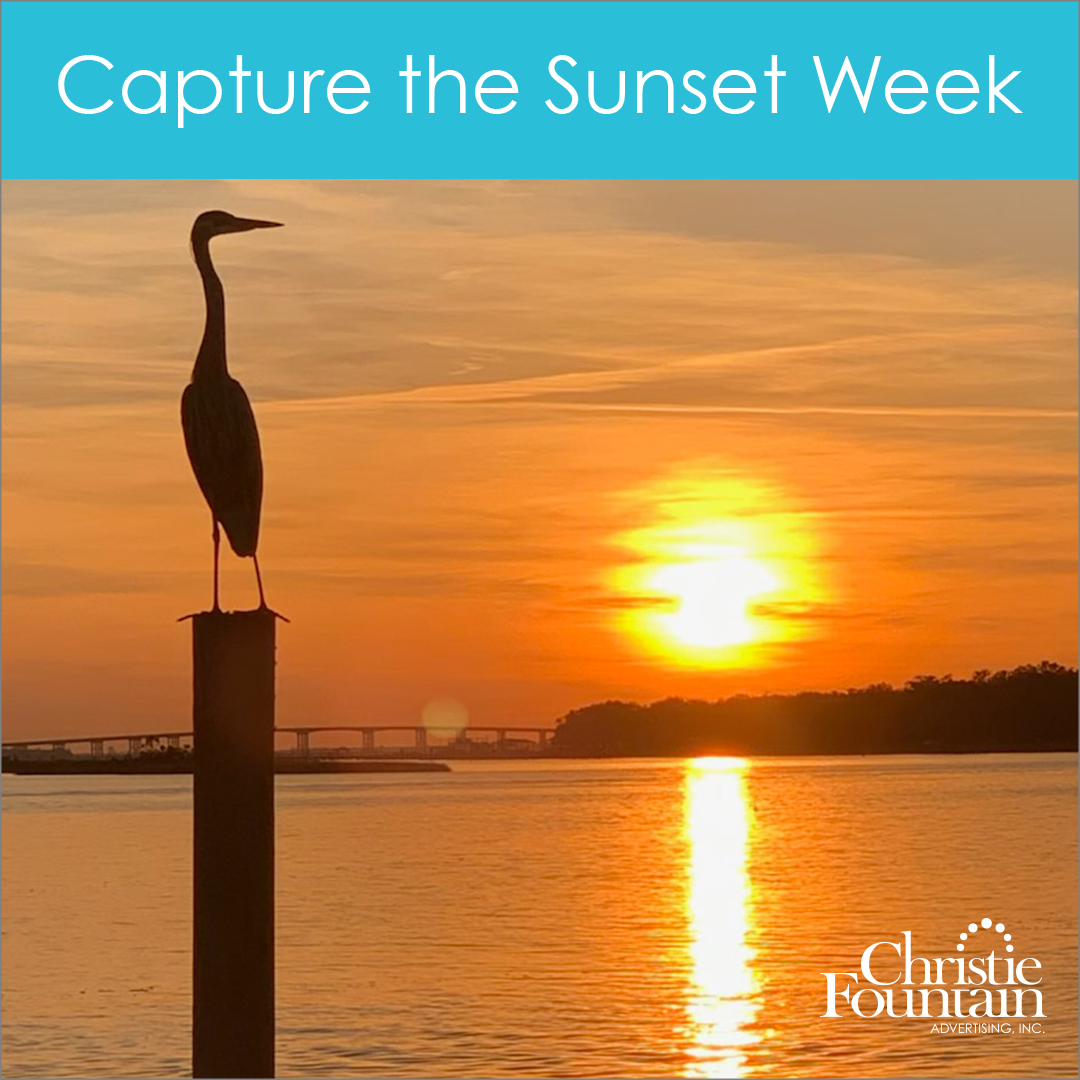 CFAdvertising's tweet photo. Take a minute to appreciate your day. #CapturetheSunsetWeek #Sunset #MSCoastLife #MississippiSunsets #Advertising #Marketing https://t.co/SH00WeDmzU