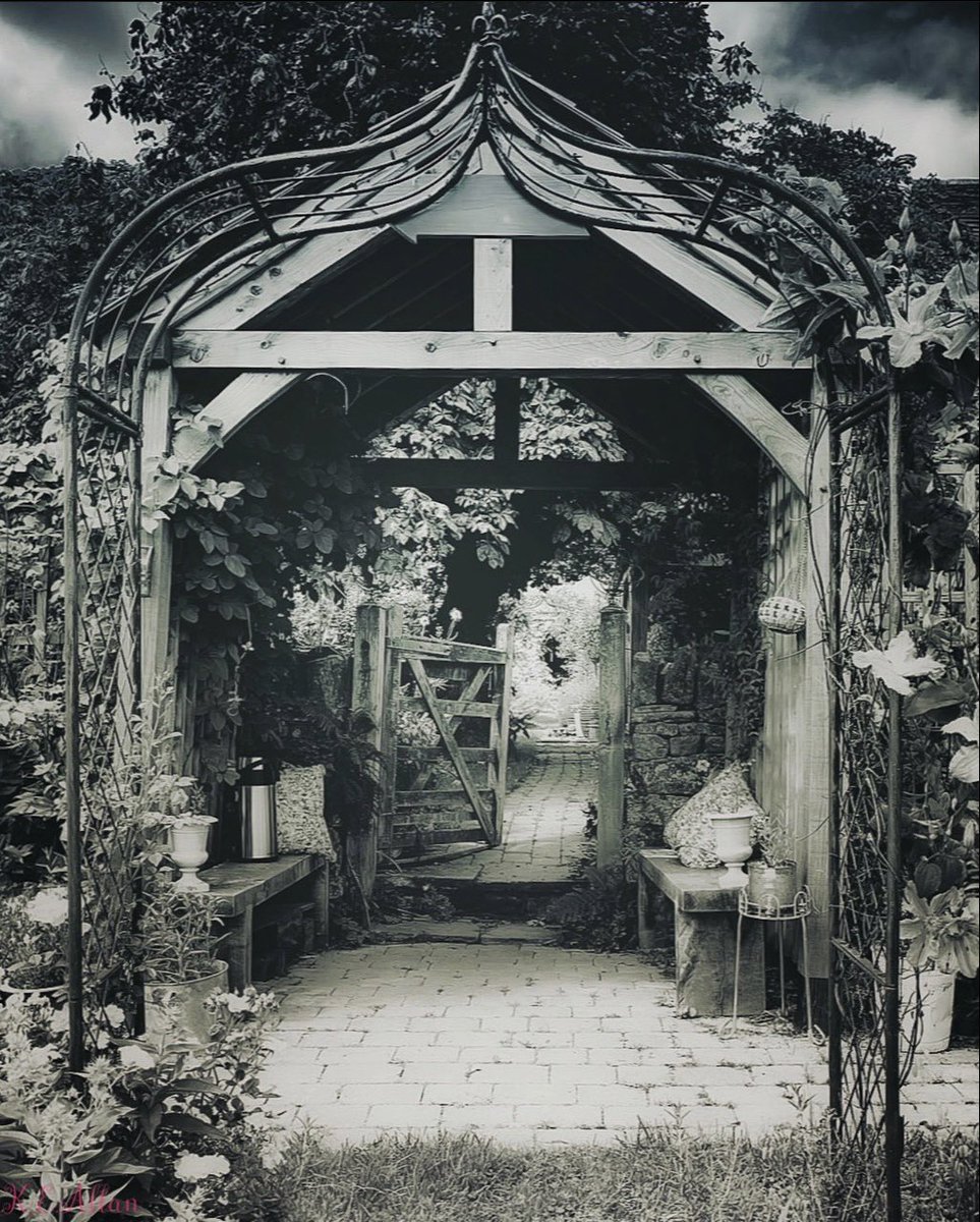 LensandLady's tweet photo. What a lovely time I’ve had snapping away in the most amazing garden of  @AlisonHayes18 …..can’t wait to start editing and share the beauty of it with you all #flowersfromthegarden https://t.co/ykNYcApNNx