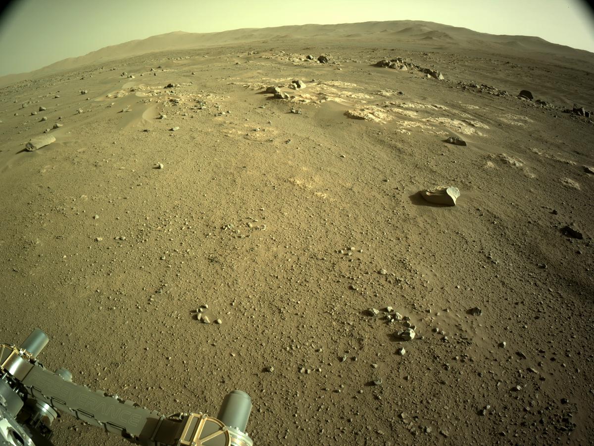MarsMissionImgs's tweet photo. #PerseveranceRover #Mars #NASA #Sol123 #Space #Navcam https://t.co/3qh3d9MFNd