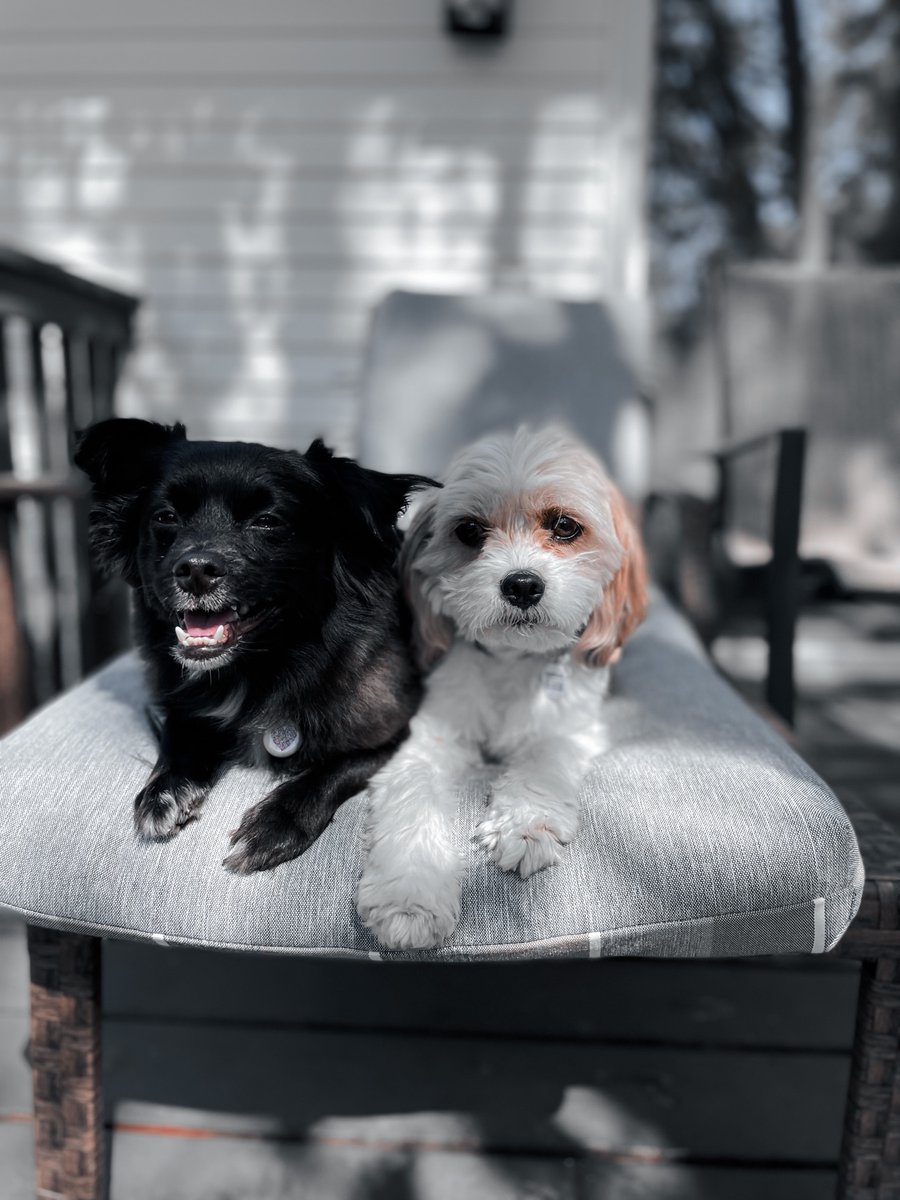 Jay Victoria tweet media