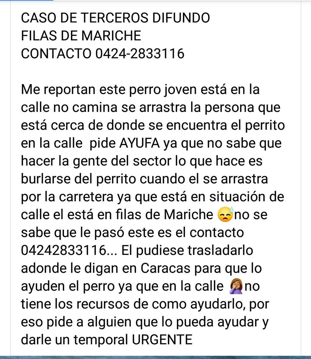 PerroUsuario's tweet photo. Este pequeño necesita #AYUDAAA #URGENTE por favor. Filas de Mariche https://t.co/QnjrtwCAxF