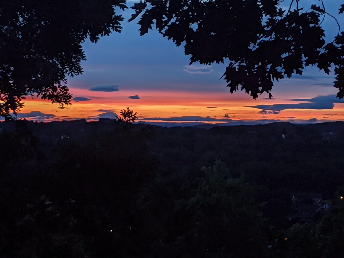 ArceoGomezG's tweet photo. I will be advertising for a #postdoc position in my lab soon. If you are interested in #pollination, community #ecology, #interaction #networks, floral #scents, nectar #microbiome reach out to me. We are a fun productive lab in the middle of the #Appalachian mountains!! Please RT https://t.co/05K4EGCPiQ