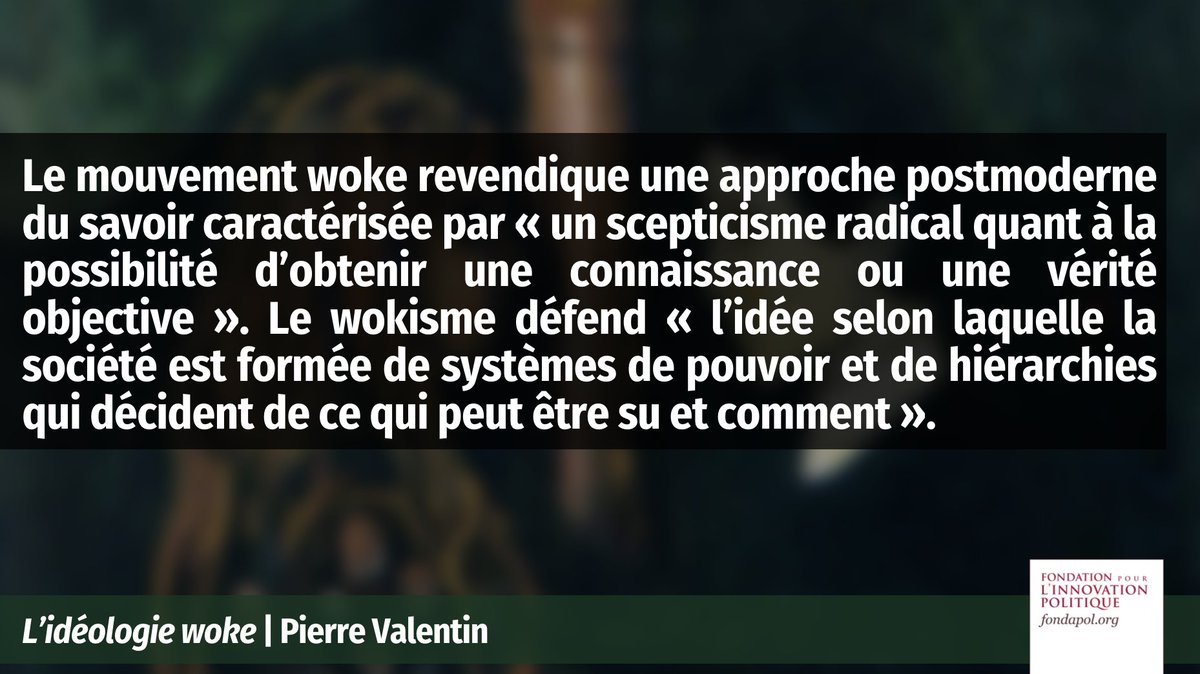 L'idéologie woke. Face au wokisme (2) - Fondapol