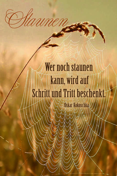 Jesusliebtdich's tweet photo. Hast du schon einmal ein großes rundes #Spinnennetz mit #Tautropfen gesehen,das von der #Sonne beschienen wird? #Wunderschön!Wenn es #Tränen d. #Leids in unserem Leben gibt,die wir Gottes Licht& #Liebe aussetzen,wird unser #Leben besonders strahlend & #wertvoll f. andere Menschen https://t.co/P45LdZvR4B