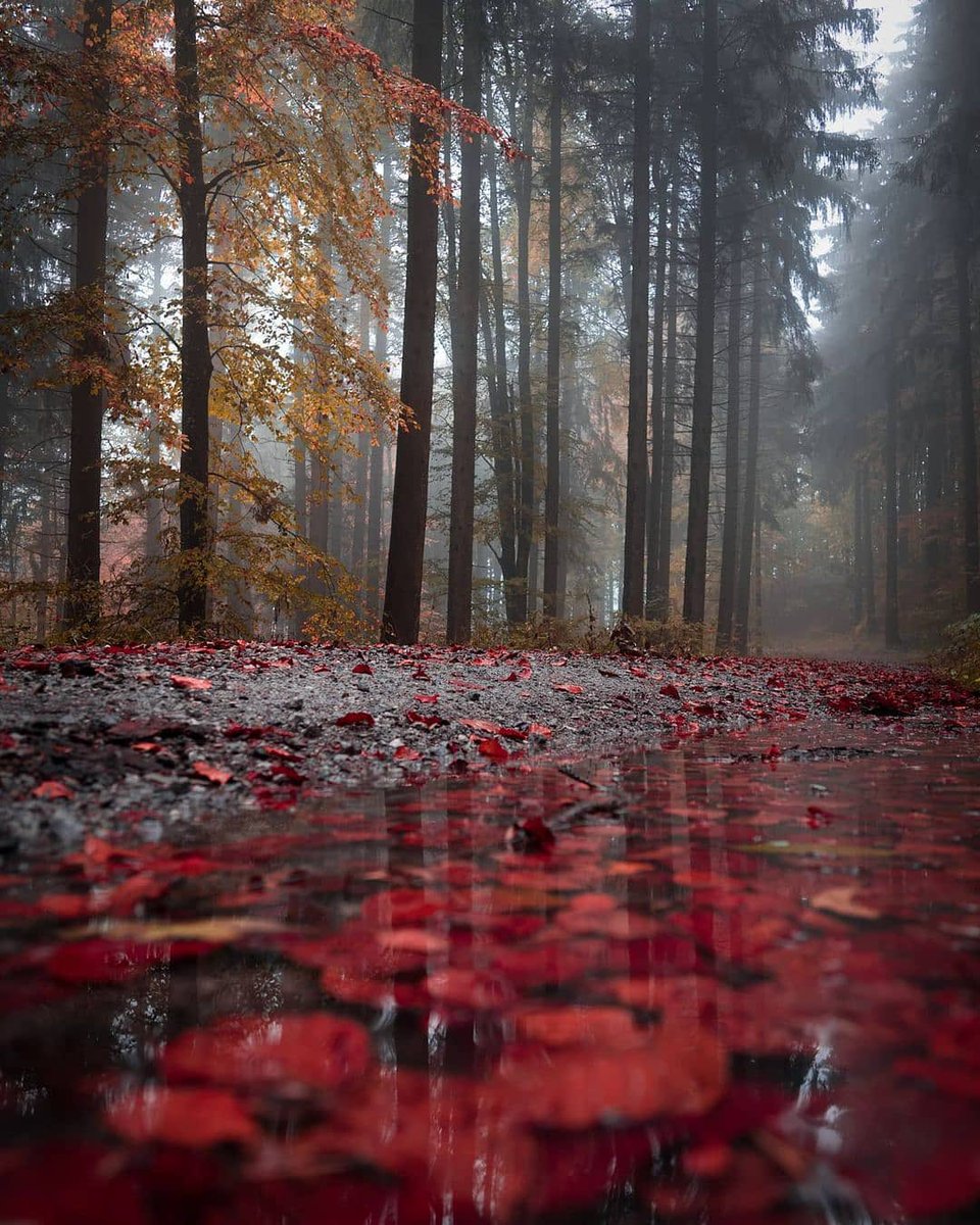 Pictures (@piitures) on Twitter photo 