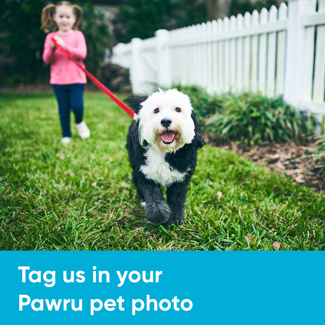 It's time to show off your pet! Tweet us @Pawrupets with a photo of your cherished pet for a chance to be featured with our community!