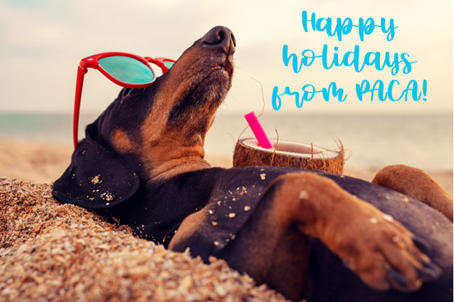 Portslade Aldridge Community Academy tweet media