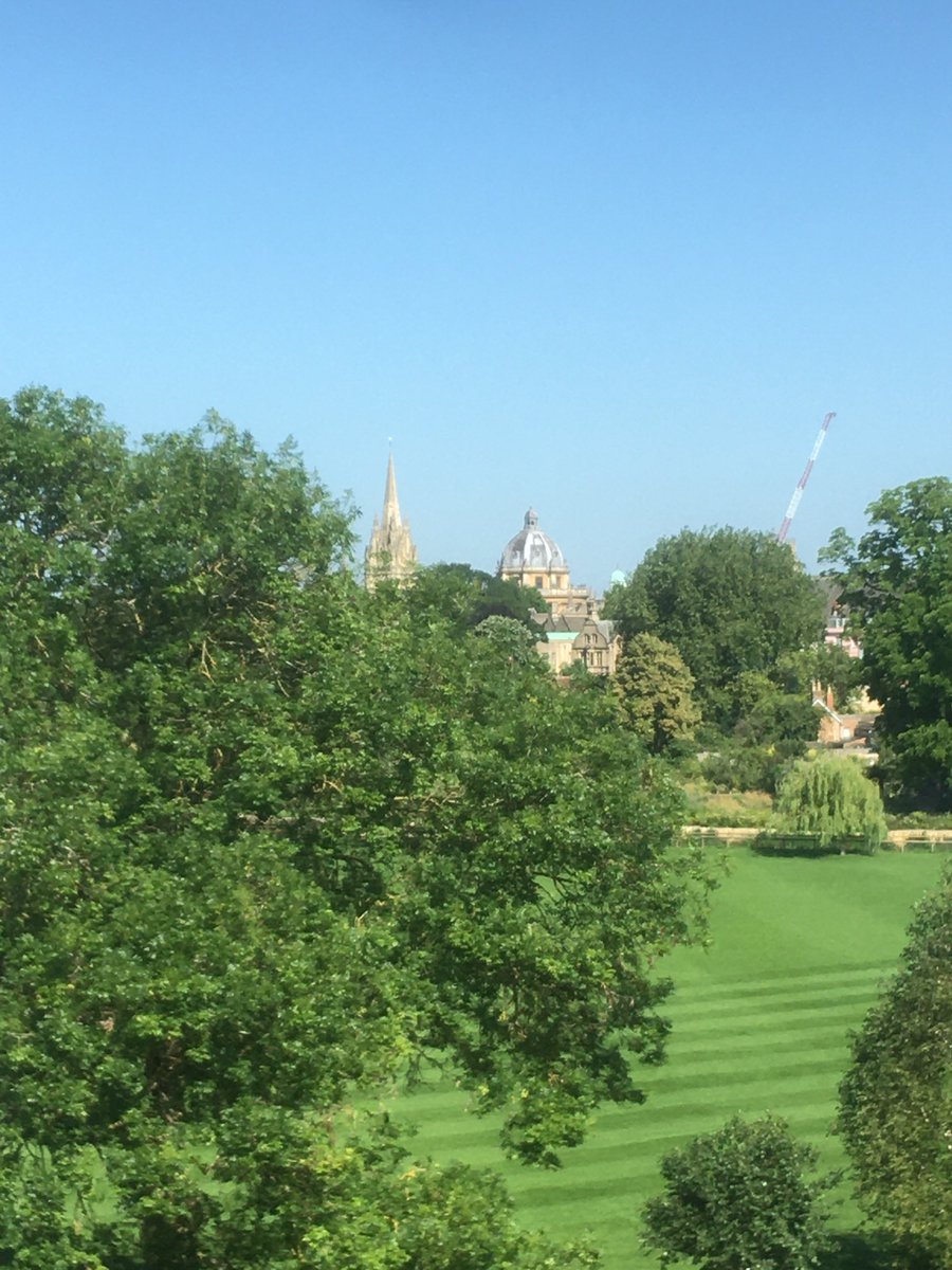 William Whyte tweet media