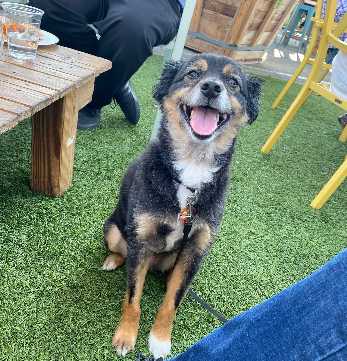 enhanced_tech's tweet image. Time well spent yesterday with the team at Brewery X.

Bonding over good brews, great pizza, and cute pups. Thank you all for coming out!

#team #teambuilding #success #fun #happyhour #intelligentsolutions #technology #managedserviceprovider