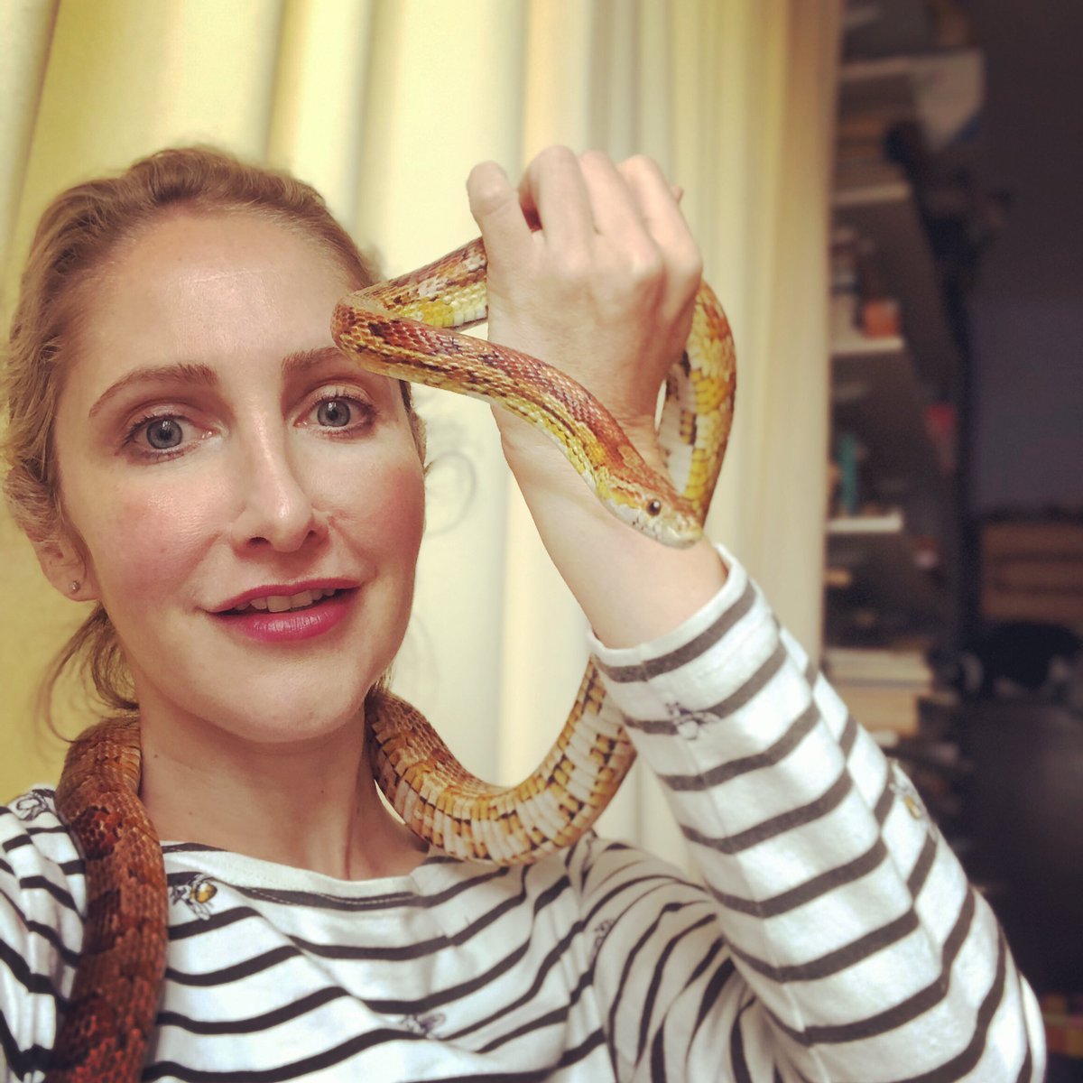 Apparently it’s World Snake Day so here is Amber the corn snake who we adopted from the brilliant <a href="/NCRWReptile/">National Centre for Reptile Welfare</a> #worldsnakeday