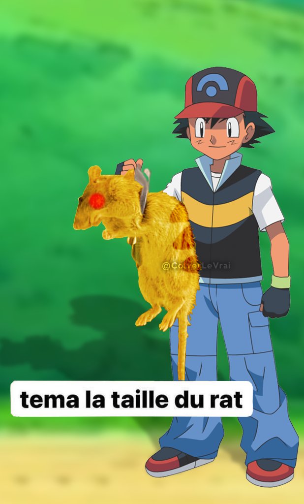 ColverLeVrai's tweet photo. Sacha qui trimballe Pikachu parcequ'il refuse de rentrer dans sa pokéball : https://t.co/QbUnGtHs4H