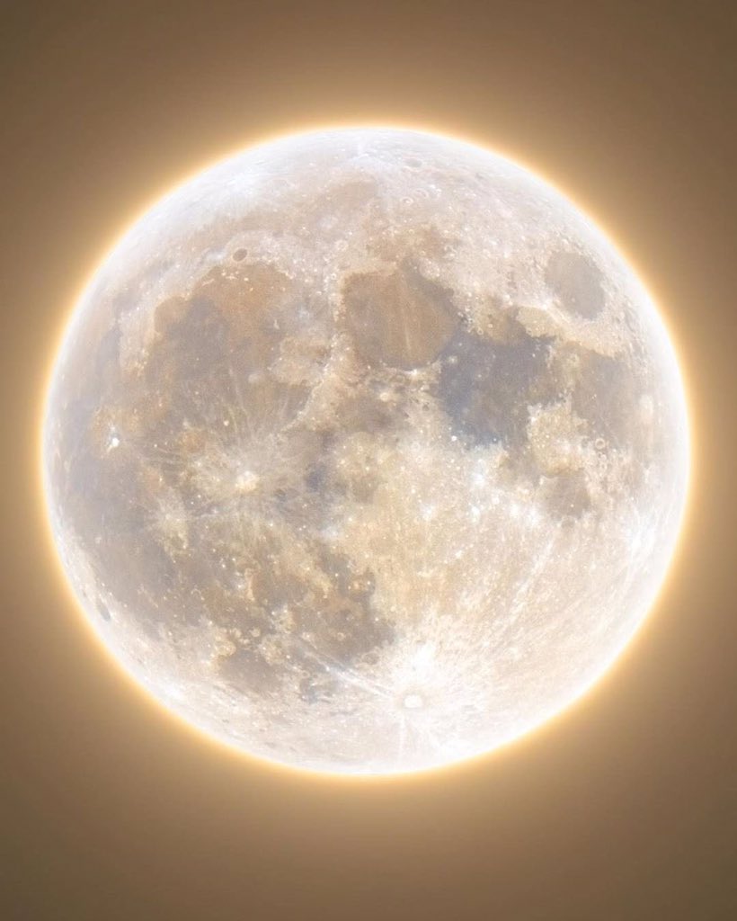 for the moon lovers
